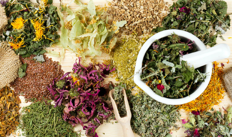 herbs and natural medicines