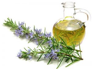 Health benefits of Rosemary Oil