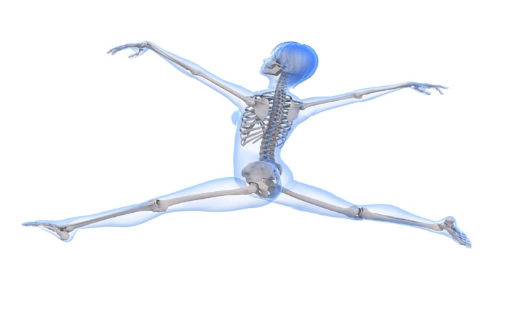 Healthy And Strong Bones