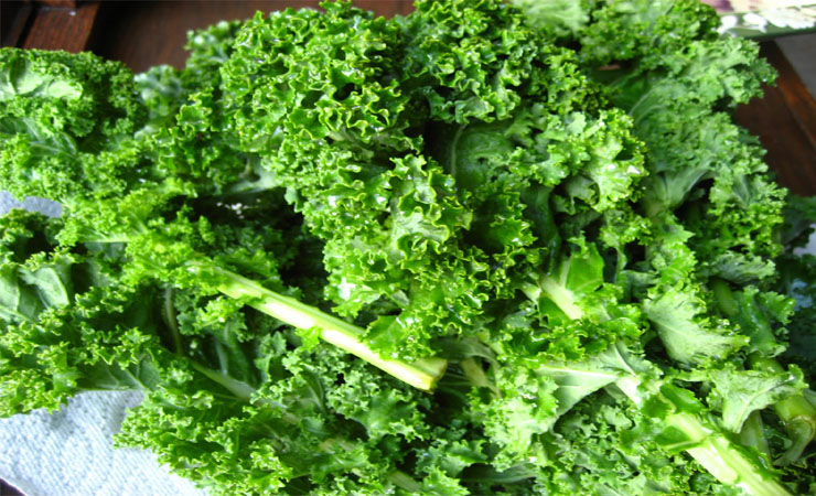 Health Benefits Of Eating Kale