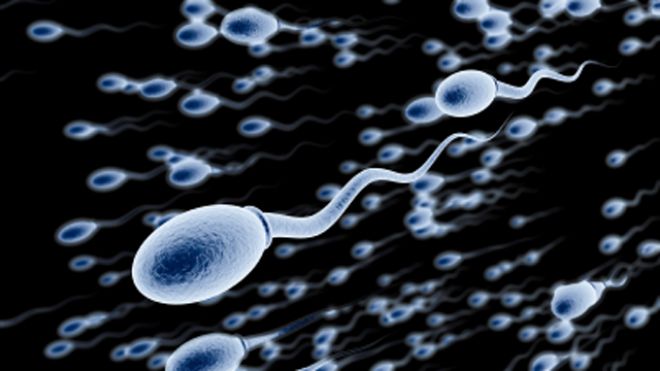 How Long Can Sperm Live Inside the Body