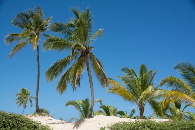 3 Pro Tips for Traveling to Punta Cana
